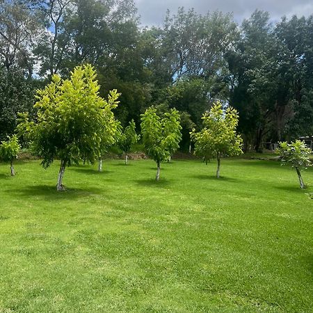 Cabanas Cumbres De Aguacatitla Huasca de Ocampo Kültér fotó