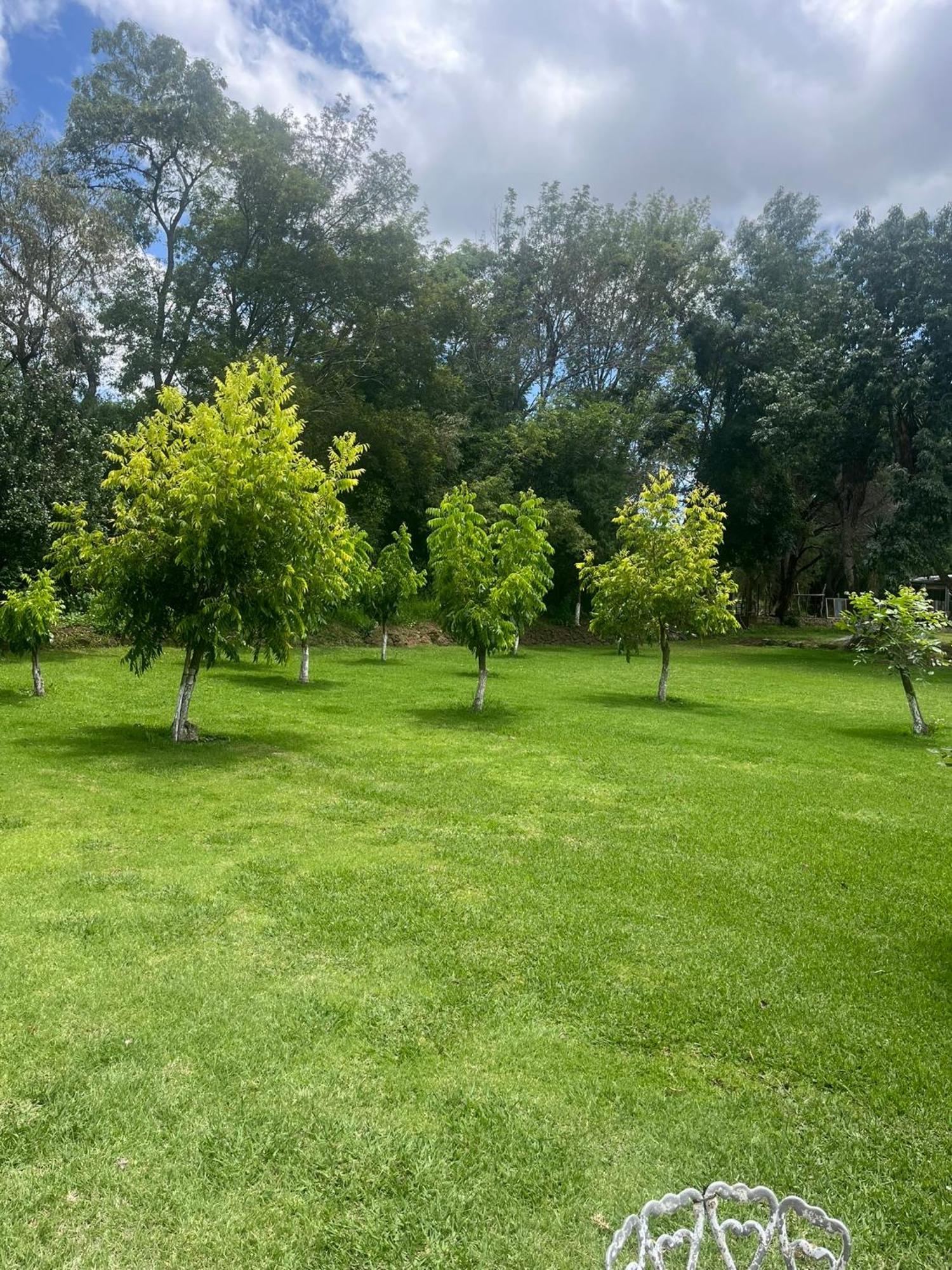 Cabanas Cumbres De Aguacatitla Huasca de Ocampo Kültér fotó