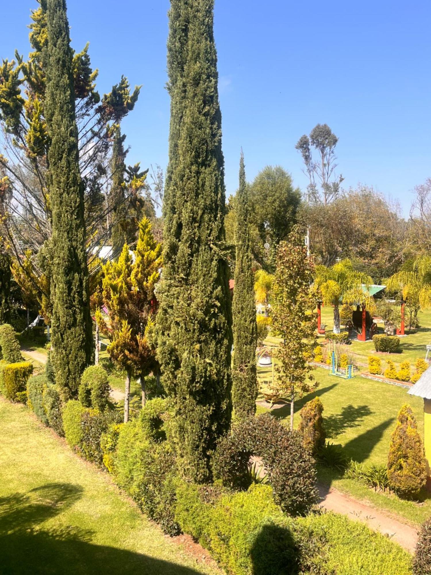 Cabanas Cumbres De Aguacatitla Huasca de Ocampo Kültér fotó