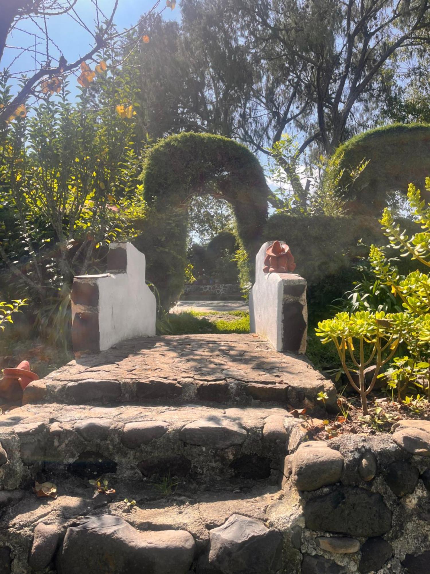 Cabanas Cumbres De Aguacatitla Huasca de Ocampo Kültér fotó