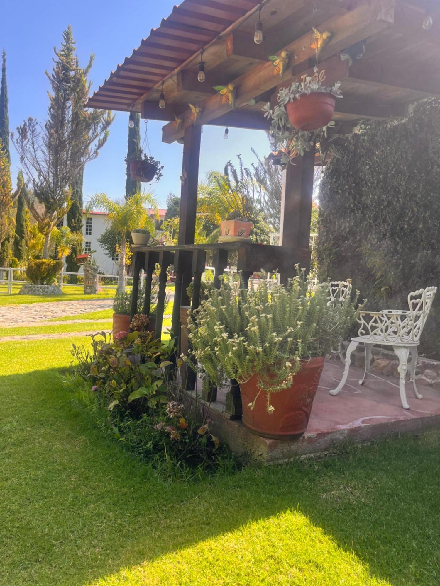 Cabanas Cumbres De Aguacatitla Huasca de Ocampo Kültér fotó