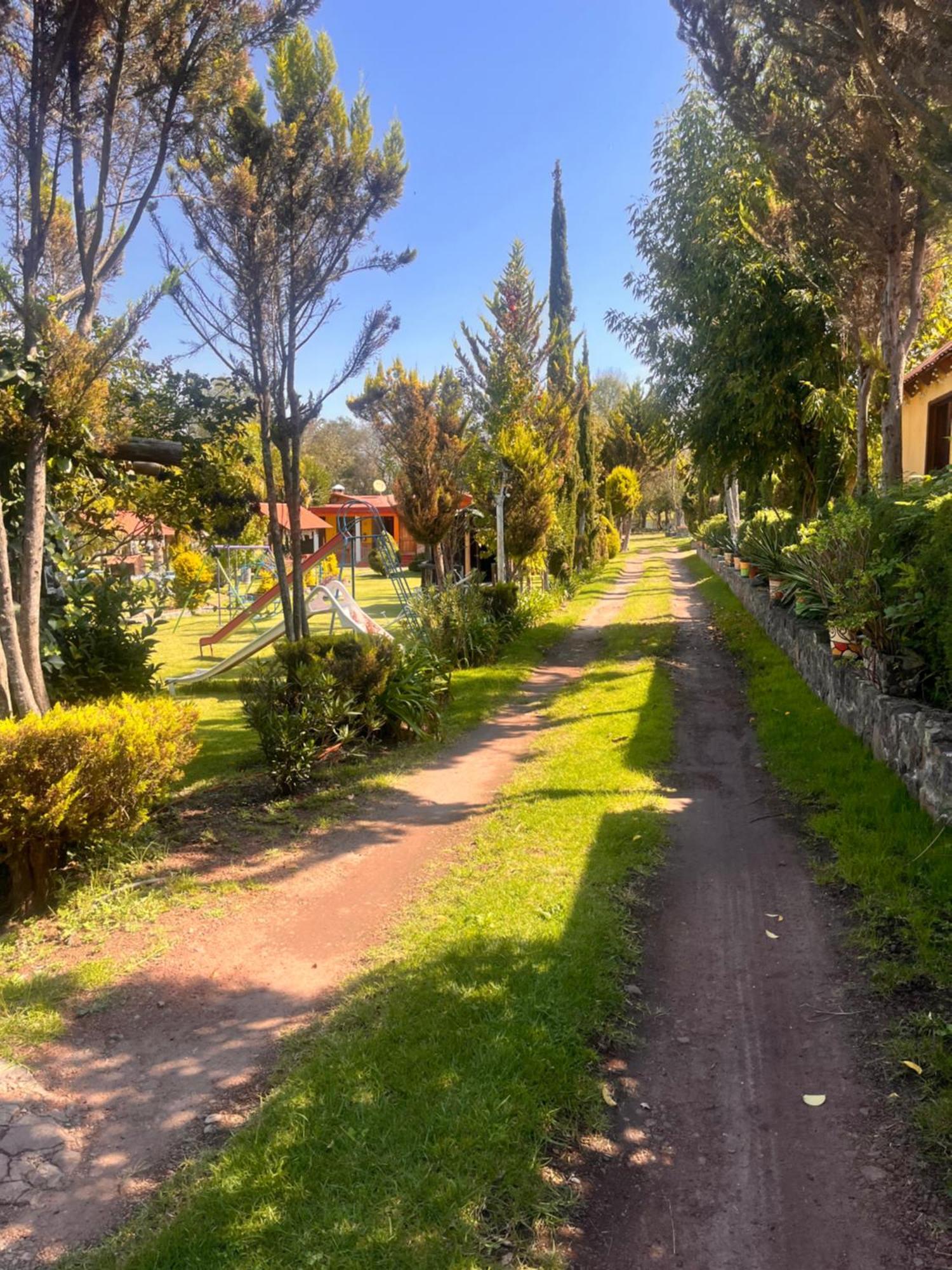Cabanas Cumbres De Aguacatitla Huasca de Ocampo Kültér fotó