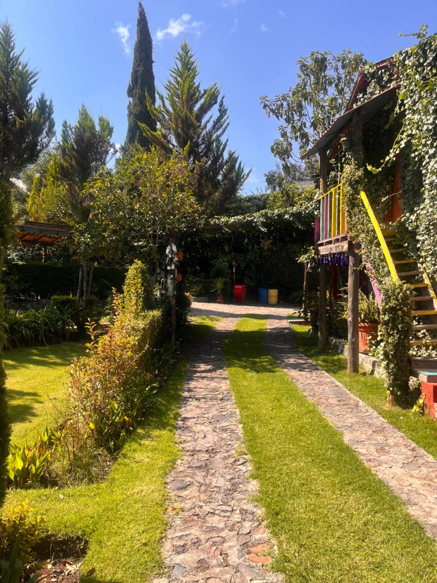 Cabanas Cumbres De Aguacatitla Huasca de Ocampo Kültér fotó