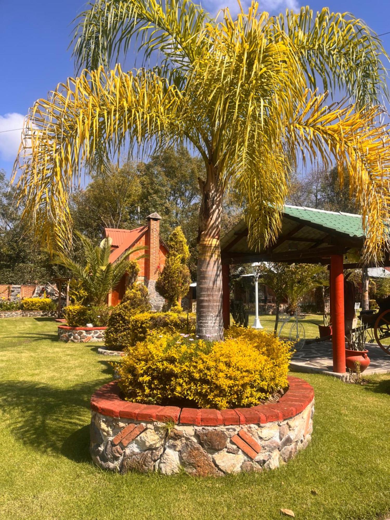 Cabanas Cumbres De Aguacatitla Huasca de Ocampo Kültér fotó