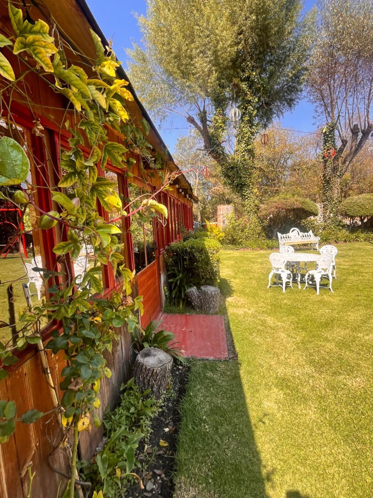 Cabanas Cumbres De Aguacatitla Huasca de Ocampo Kültér fotó