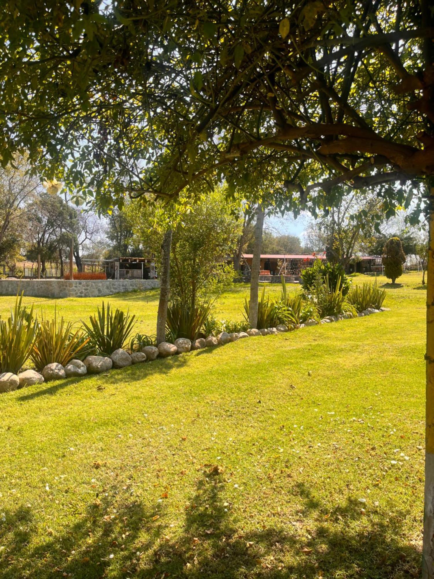Cabanas Cumbres De Aguacatitla Huasca de Ocampo Kültér fotó