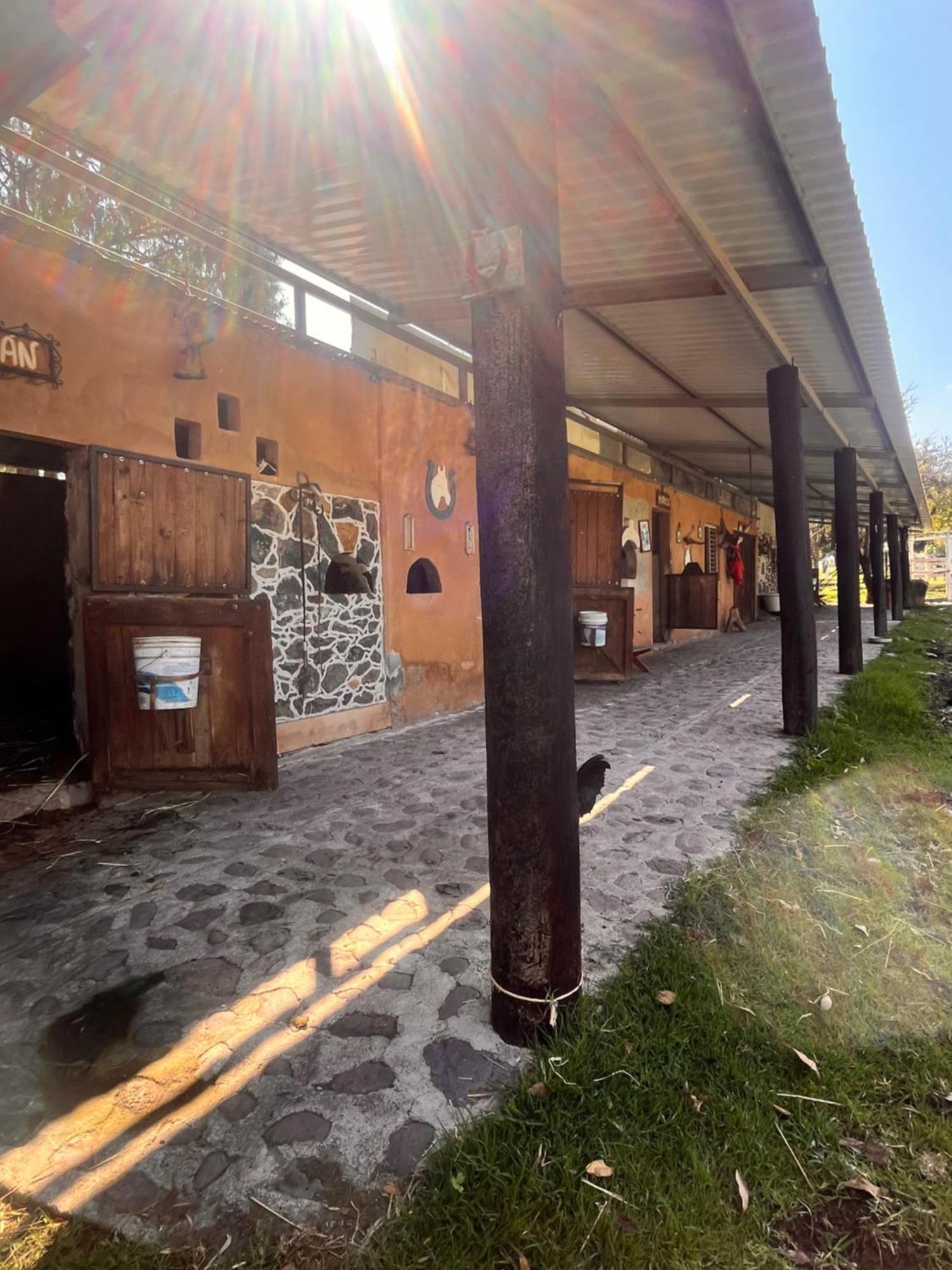 Cabanas Cumbres De Aguacatitla Huasca de Ocampo Kültér fotó