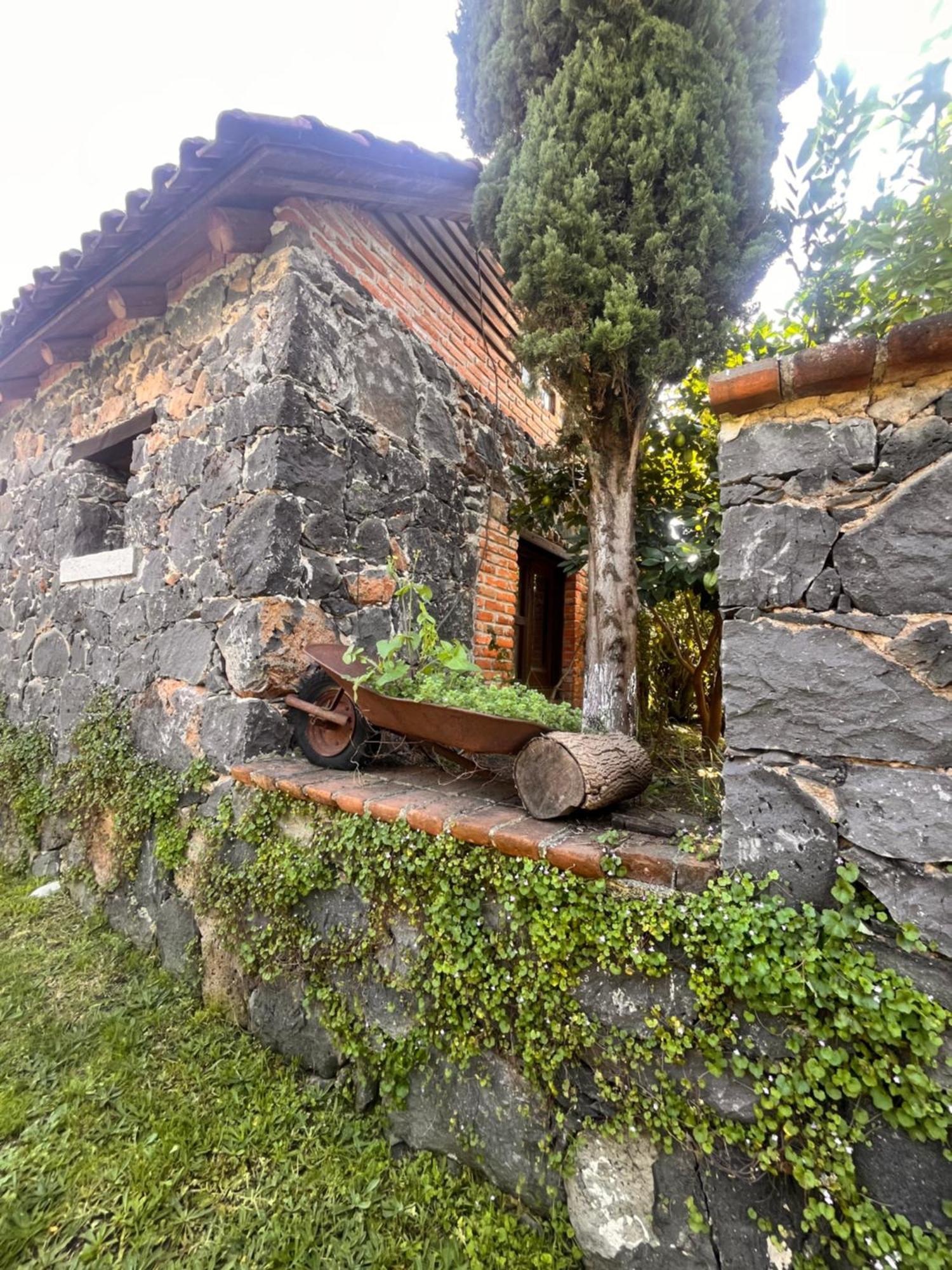 Cabanas Cumbres De Aguacatitla Huasca de Ocampo Kültér fotó