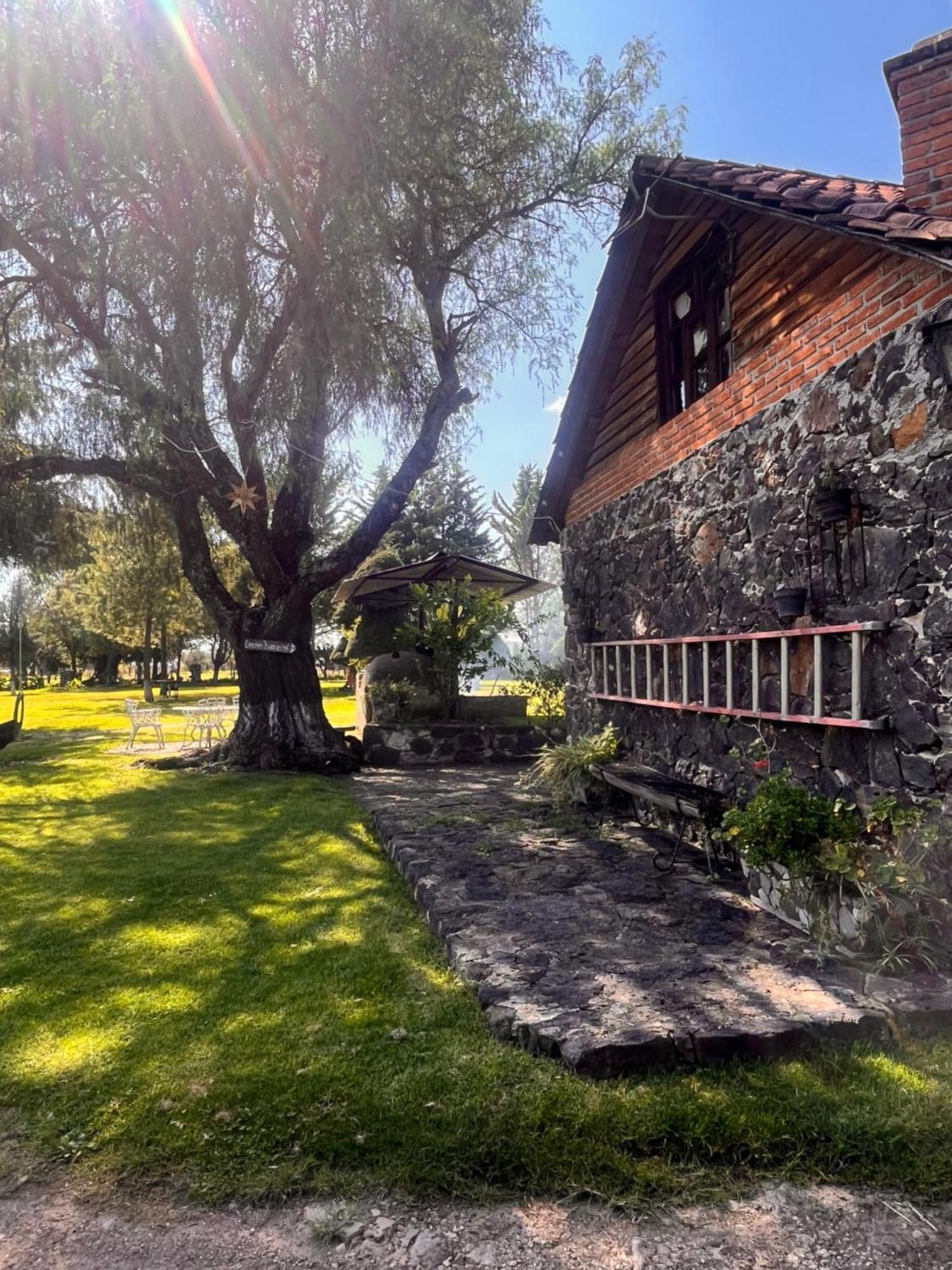 Cabanas Cumbres De Aguacatitla Huasca de Ocampo Kültér fotó